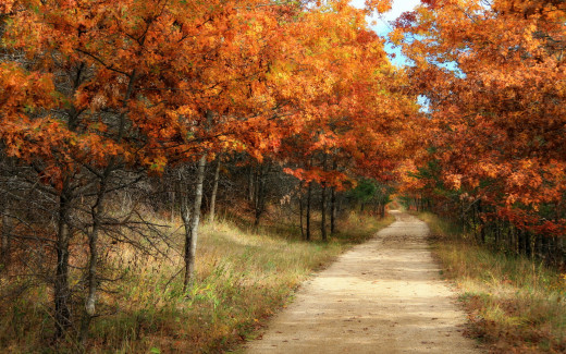 583186 (a): :2560x1600